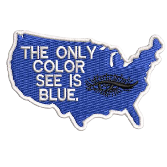 Democratic "The Only Color I See Is Blue" Embroidered Iron/Sew on Patch